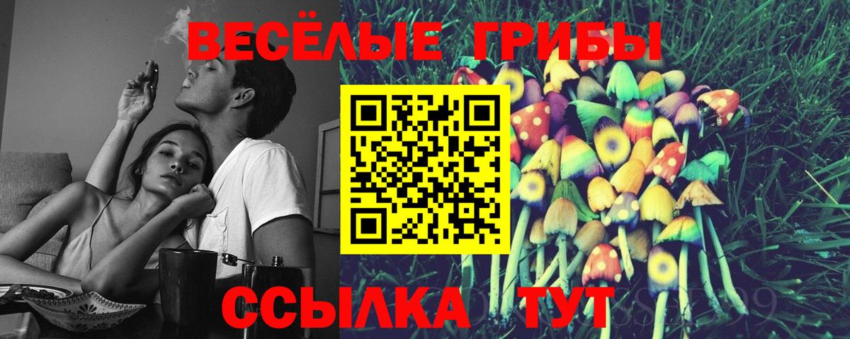 Галлюциногенные грибы Cubensis  Псилоцибиновые грибы мухоморы  Вход с VPN  Каменск-Уральский 